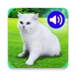 animal ringtones & wallpapers android application logo